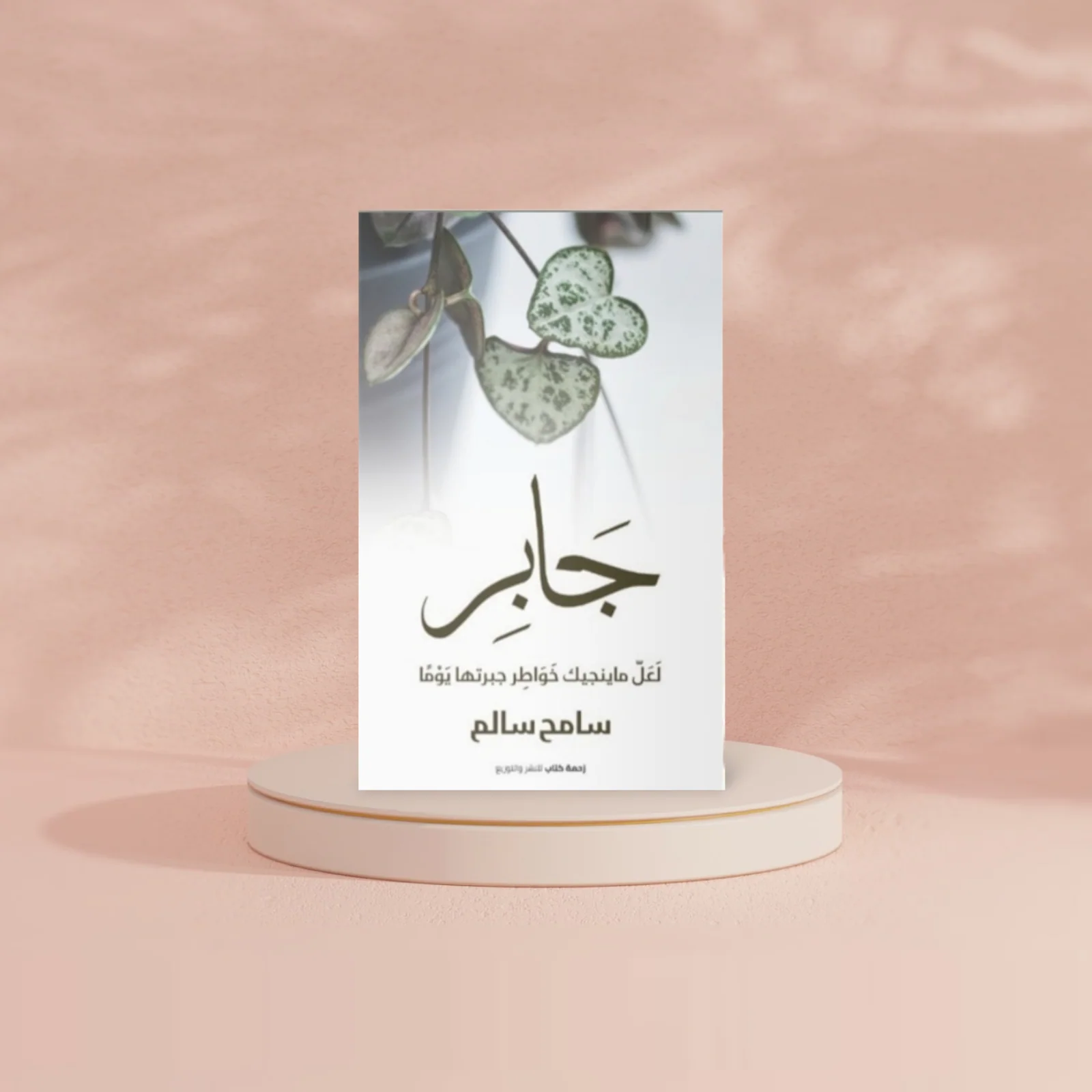 صورة مصغرة 2