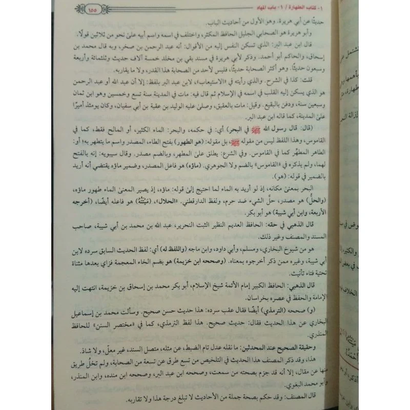 صورة مصغرة 2