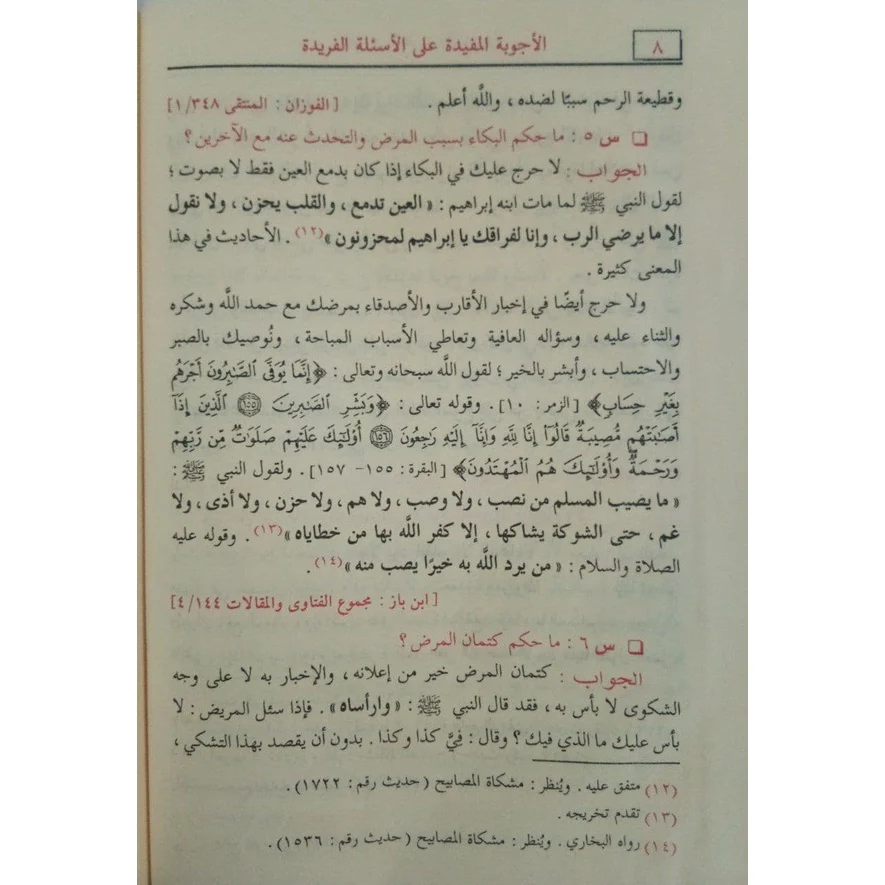 صورة مصغرة 13
