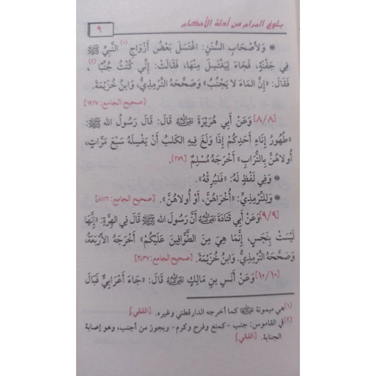 صورة مصغرة 3