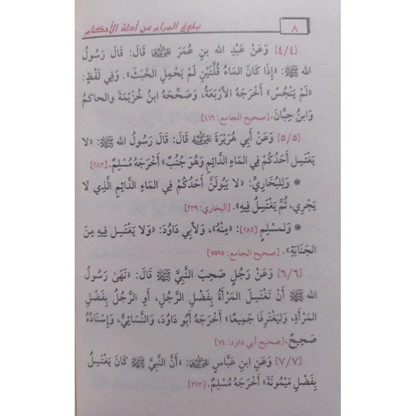 صورة مصغرة 4