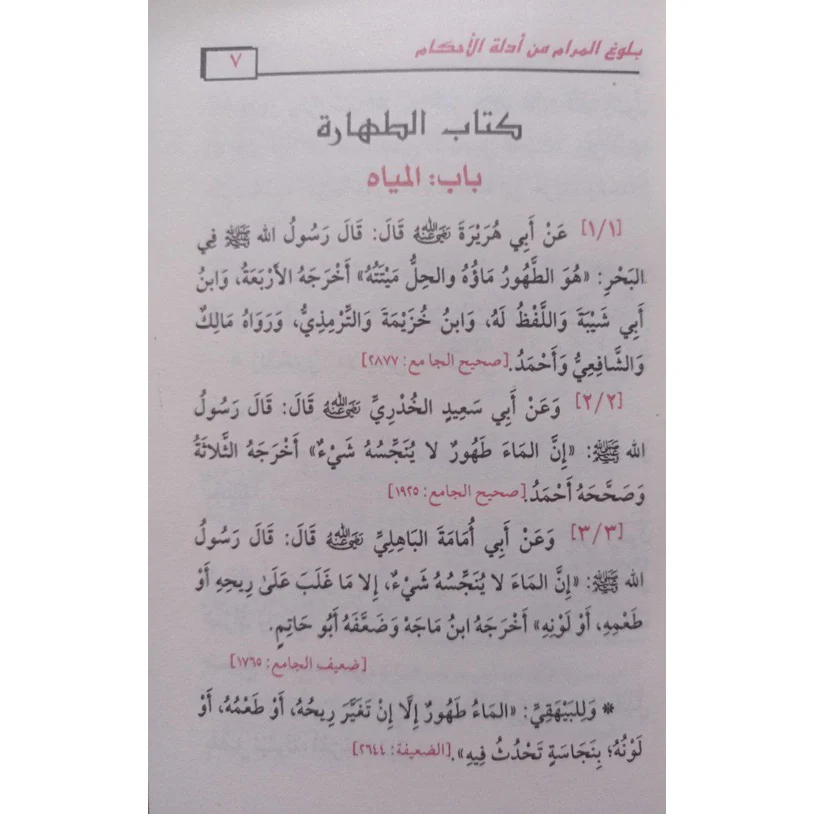 صورة مصغرة 5