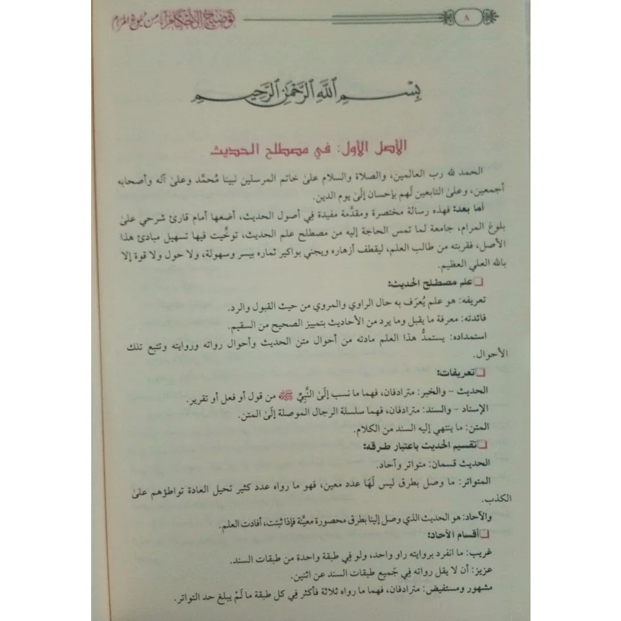صورة مصغرة 7