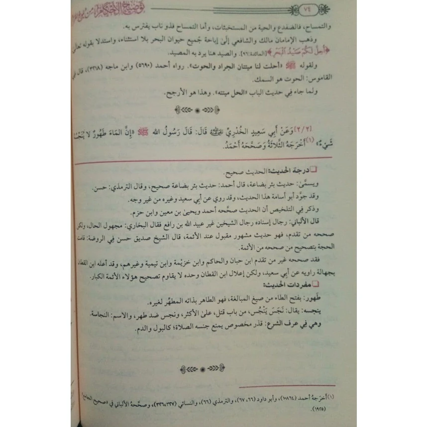 صورة مصغرة 8