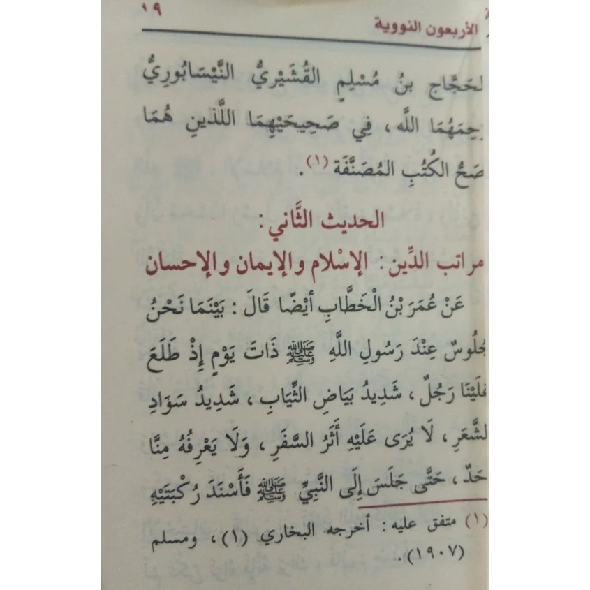 صورة مصغرة 4