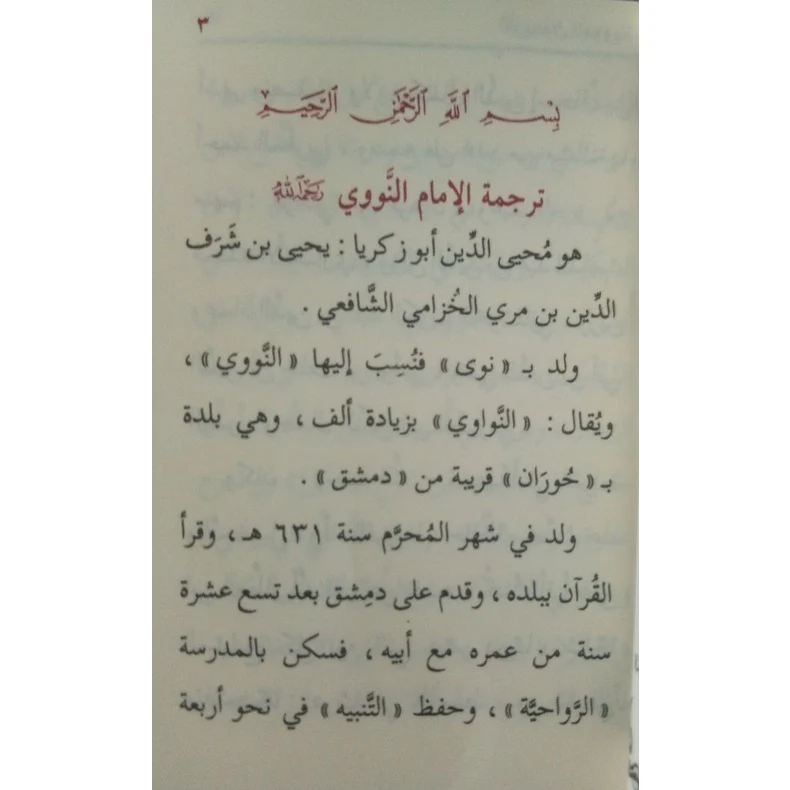 صورة مصغرة 7