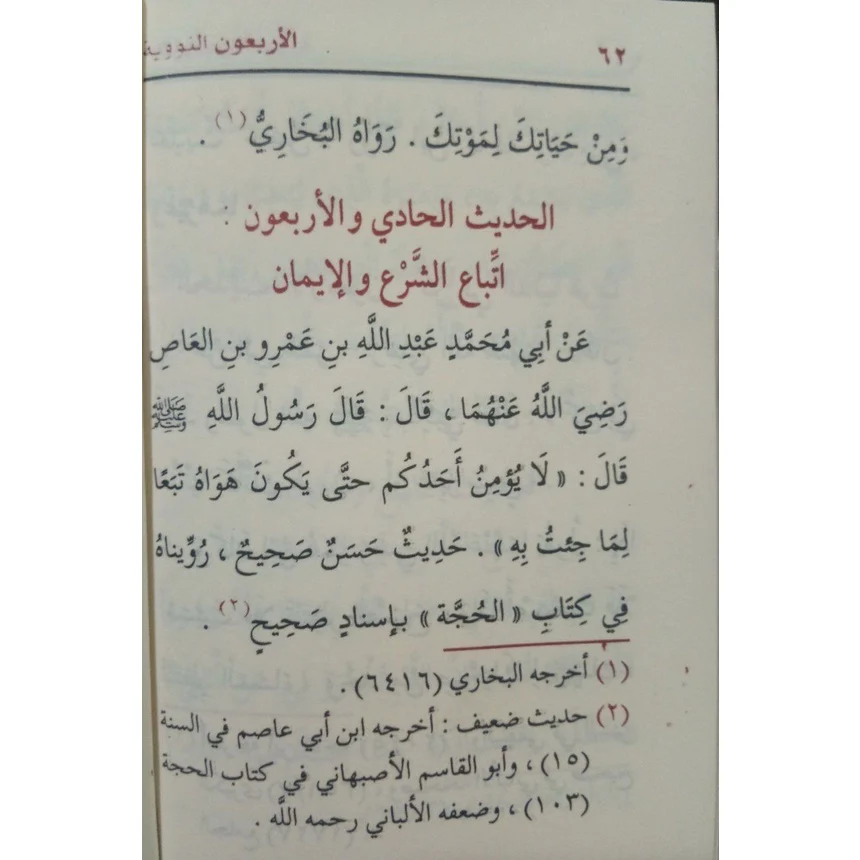 صورة مصغرة 8