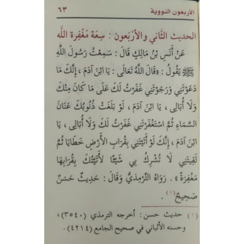 صورة مصغرة 9