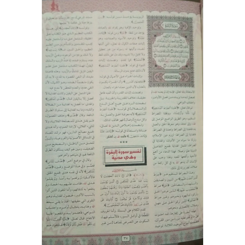 صورة مصغرة 3