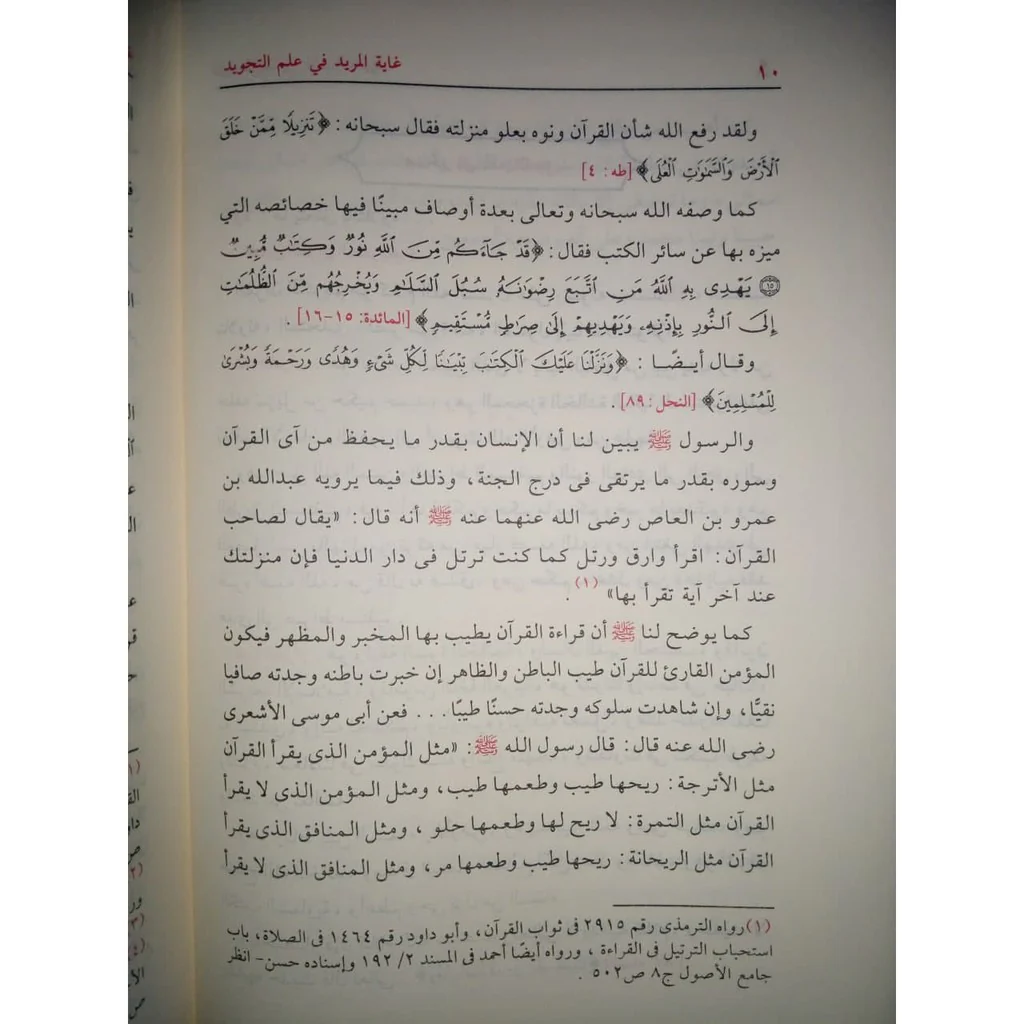 صورة مصغرة 6