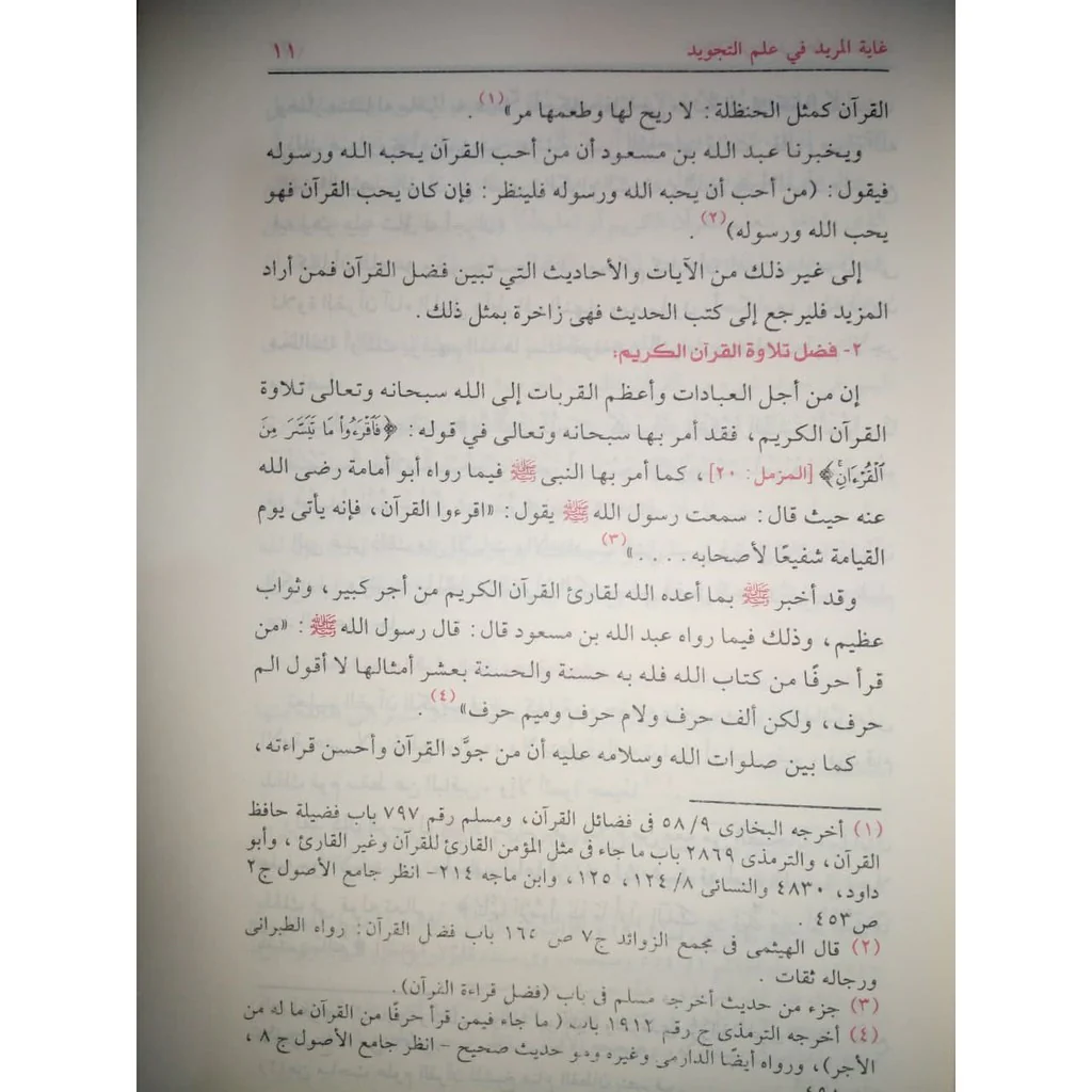 صورة مصغرة 7