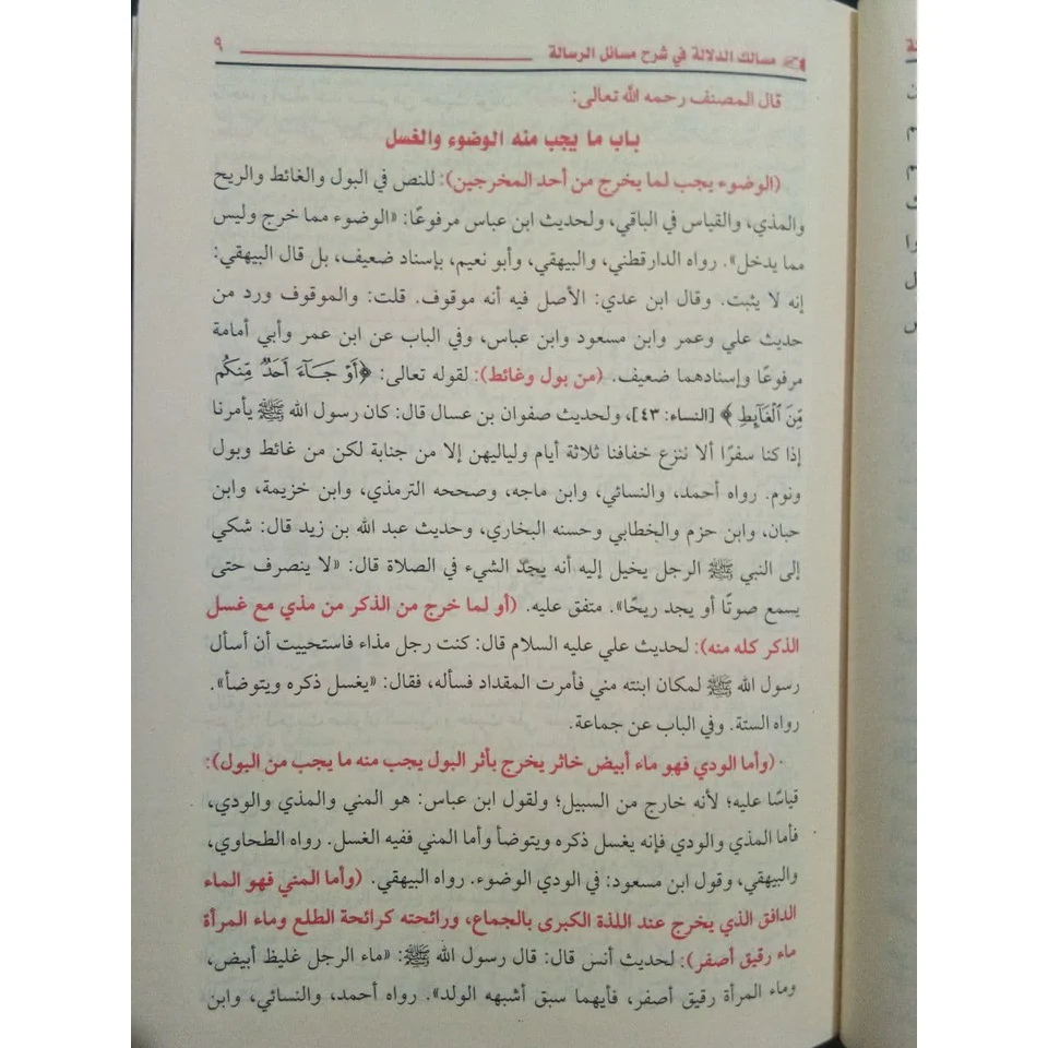صورة مصغرة 5