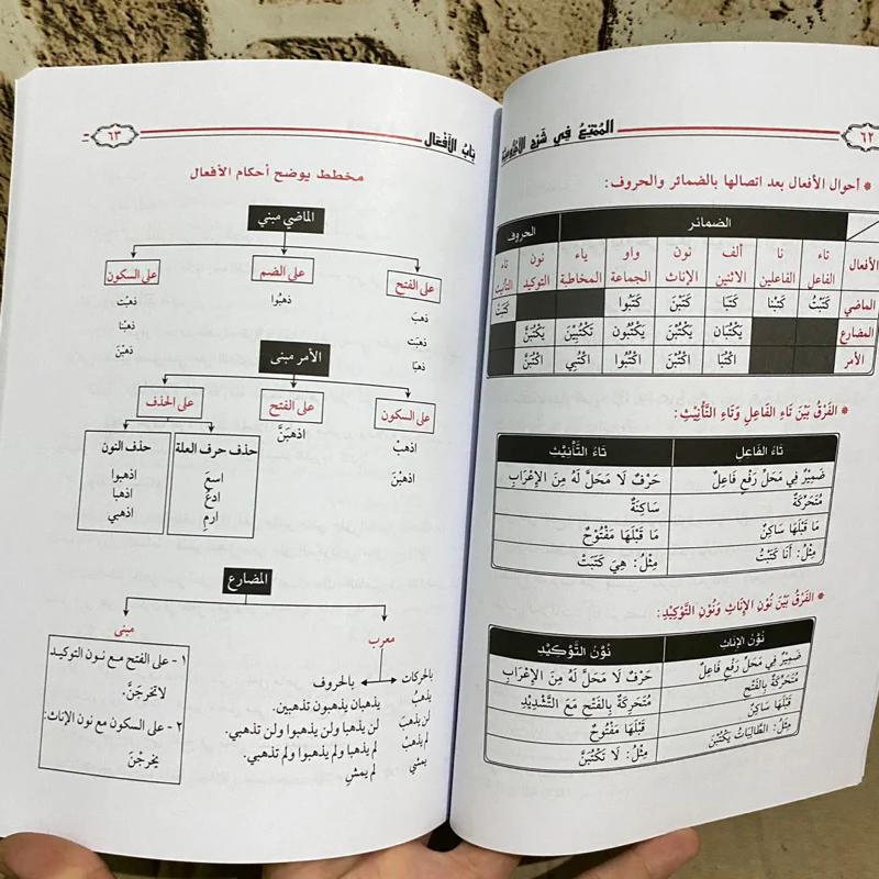 صورة مصغرة 6