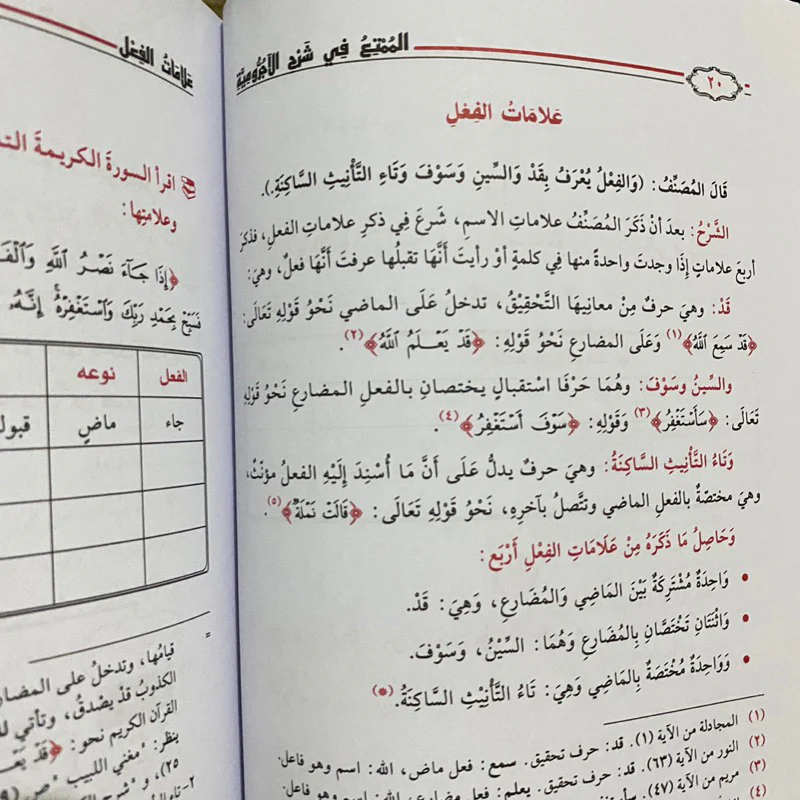 صورة مصغرة 8