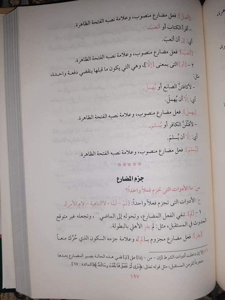 صورة مصغرة 5