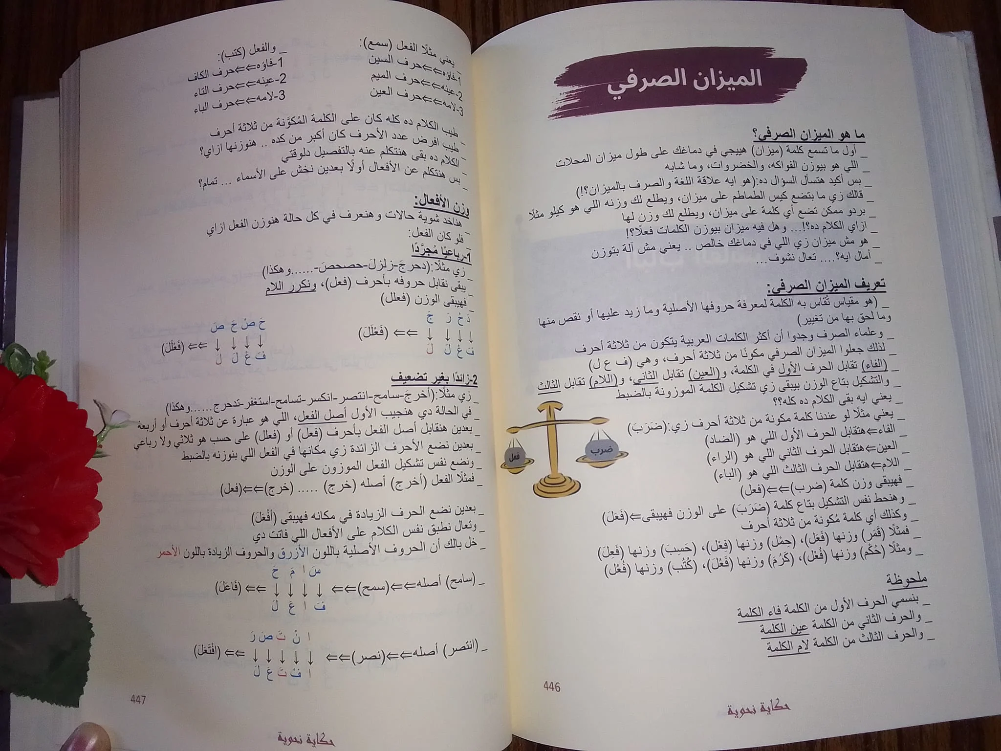 صورة مصغرة 2