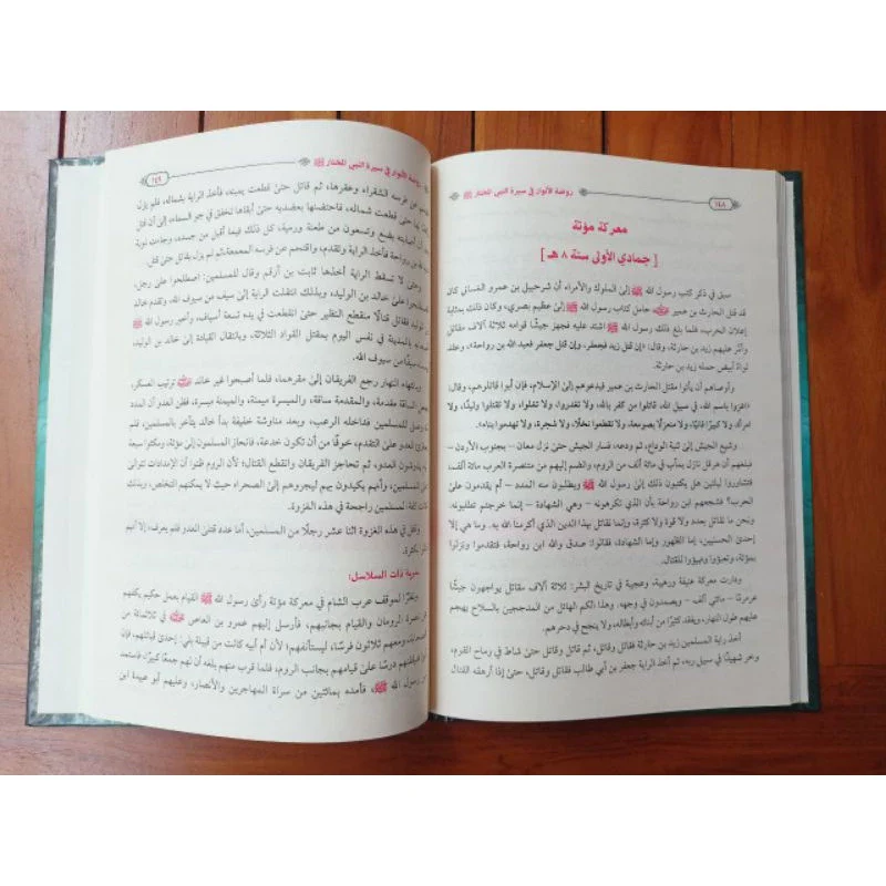 صورة مصغرة 2