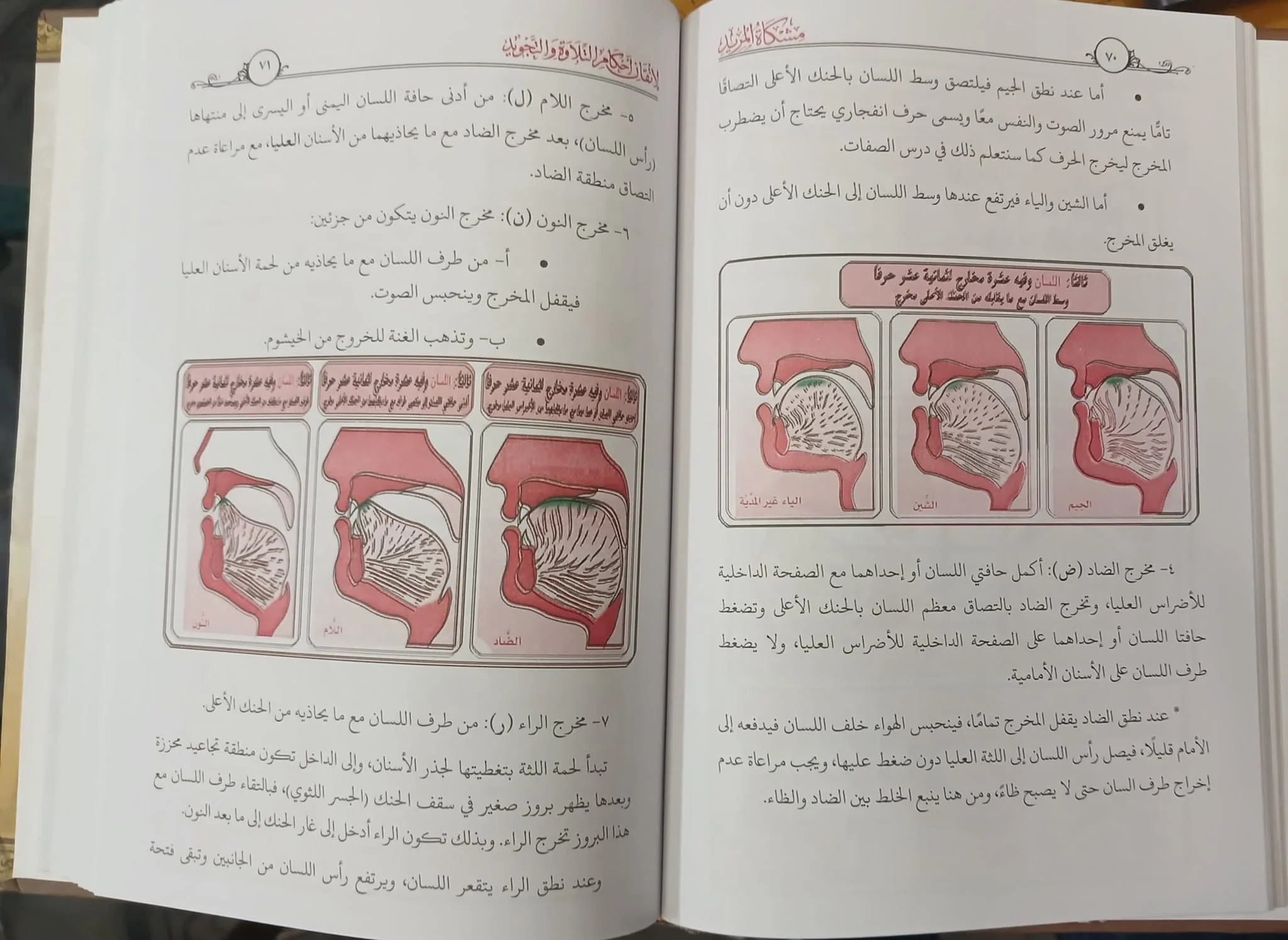 صورة مصغرة 2