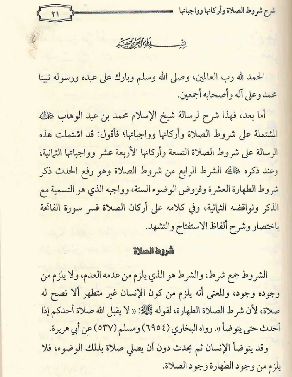 صورة مصغرة 3