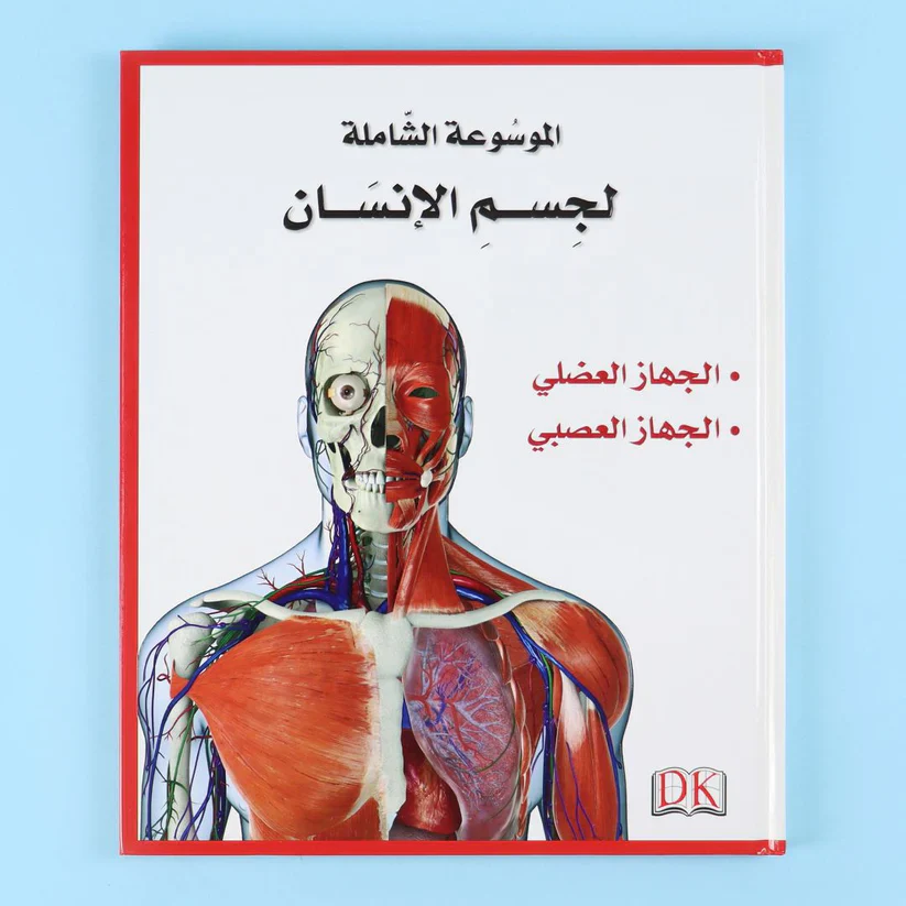صورة مصغرة 6