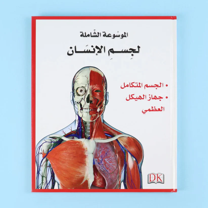 صورة مصغرة 7