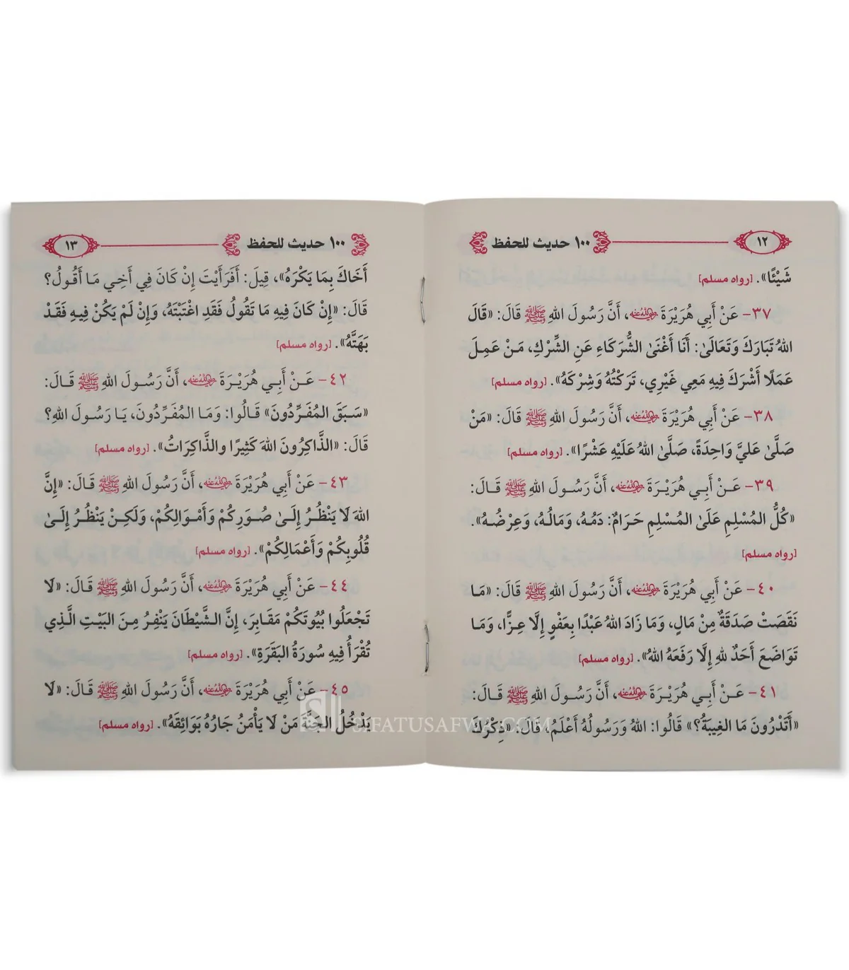 صورة مصغرة 2