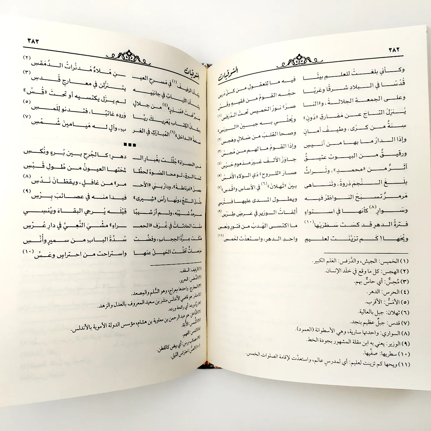 صورة مصغرة 3