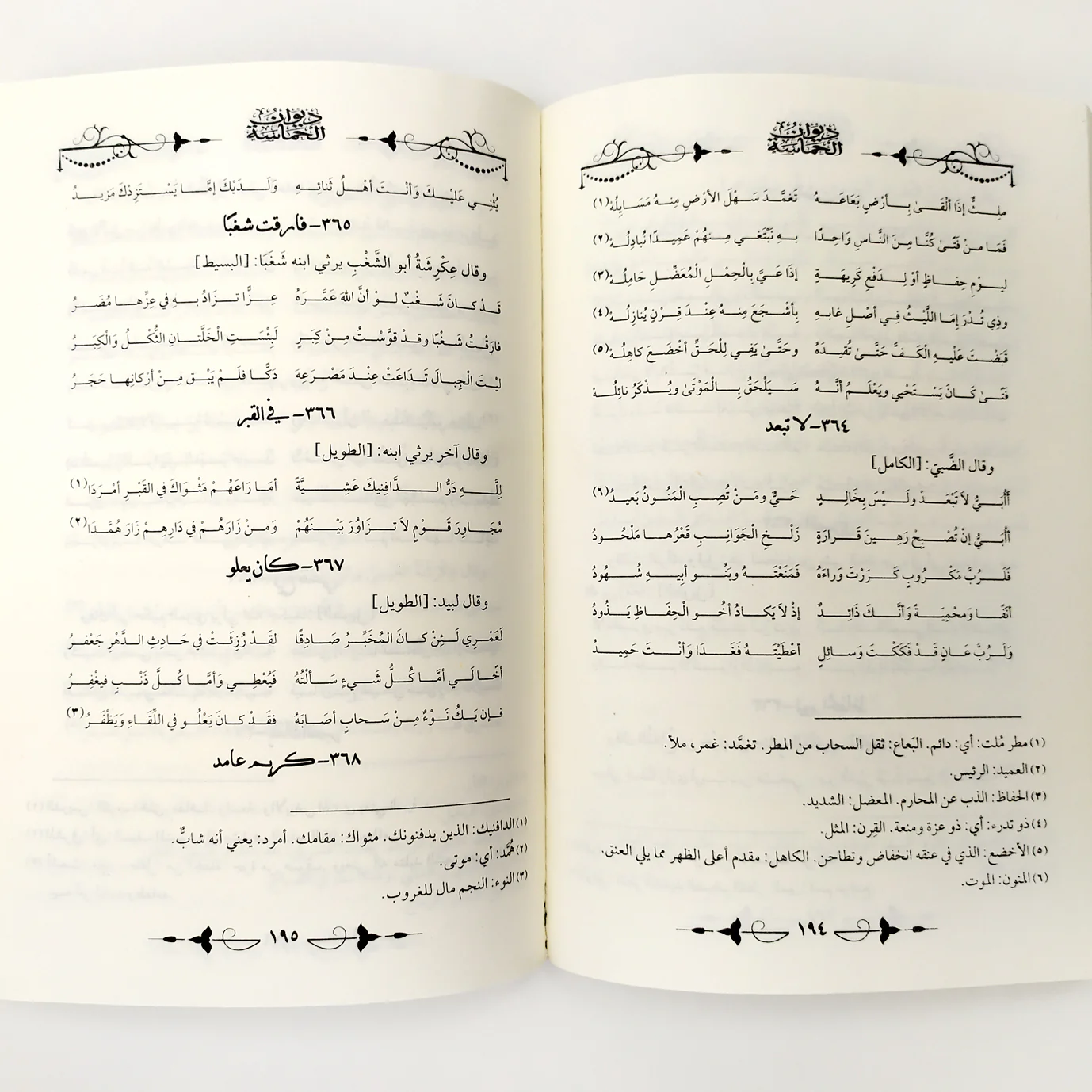 صورة مصغرة 3