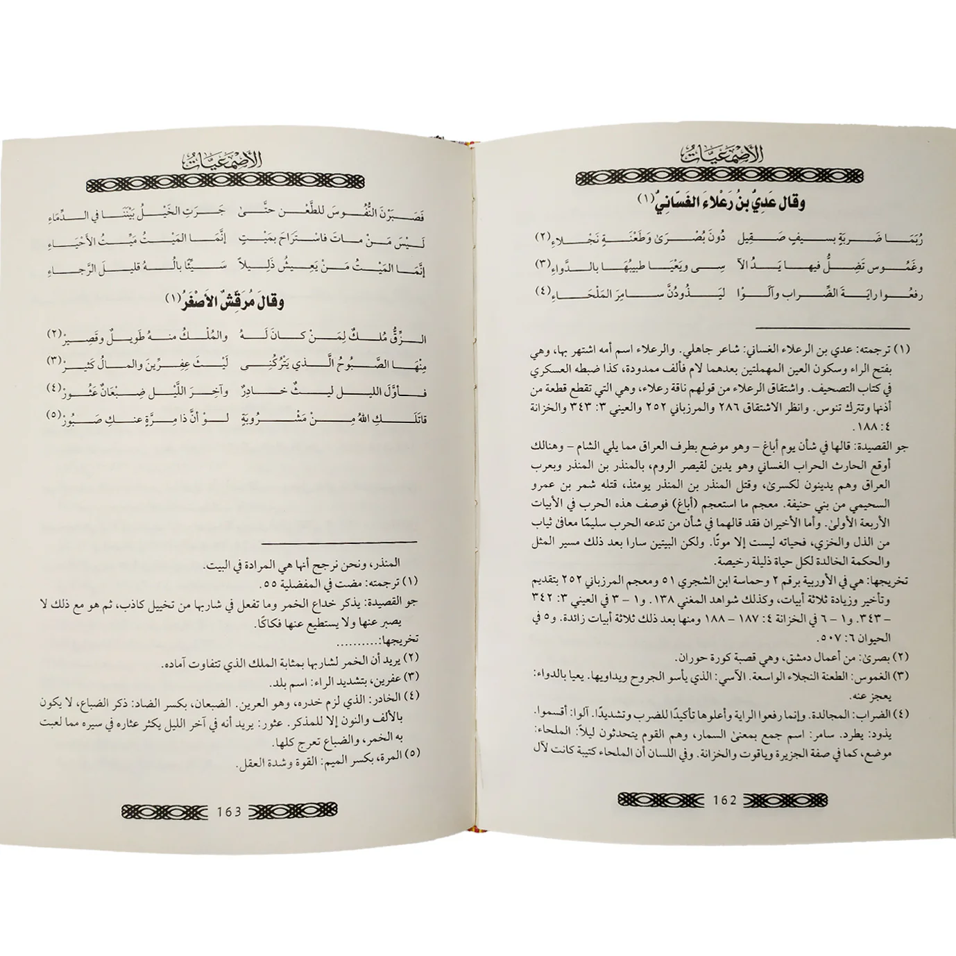 صورة مصغرة 3
