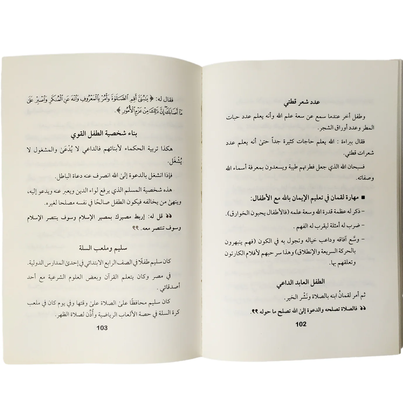 صورة مصغرة 2