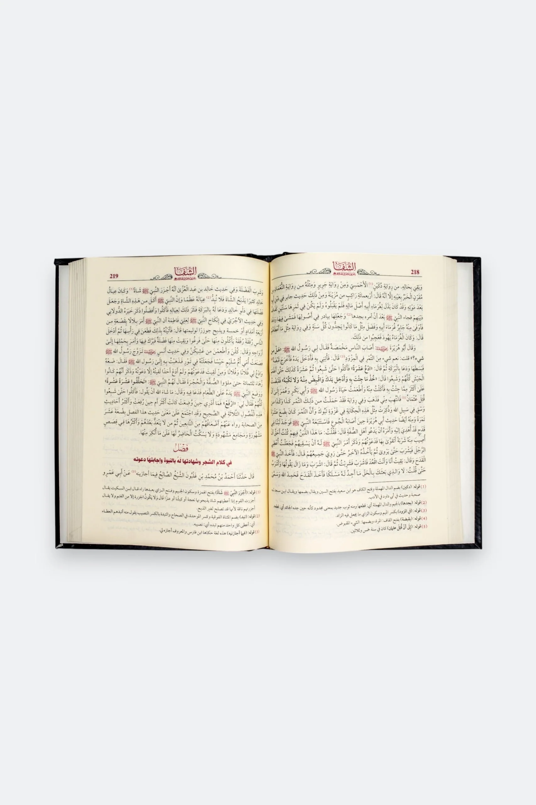 صورة مصغرة 6