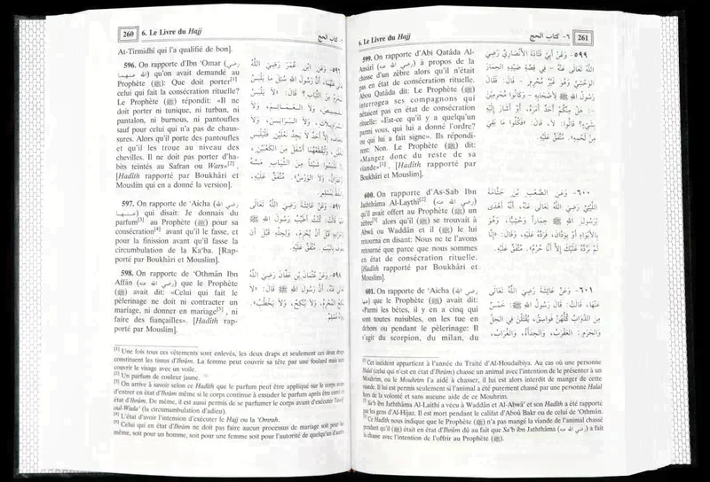 صورة مصغرة 3
