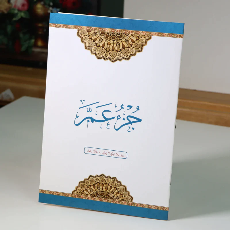 صورة مصغرة 4
