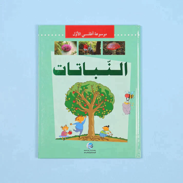 صورة مصغرة 11