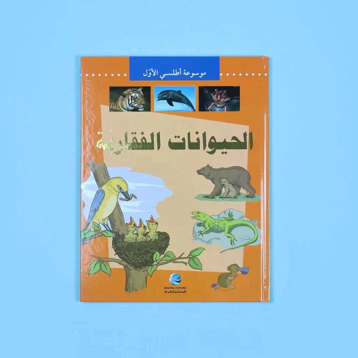 صورة مصغرة 15