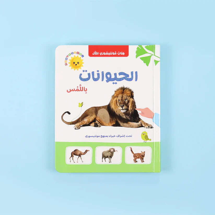 صورة مصغرة 8