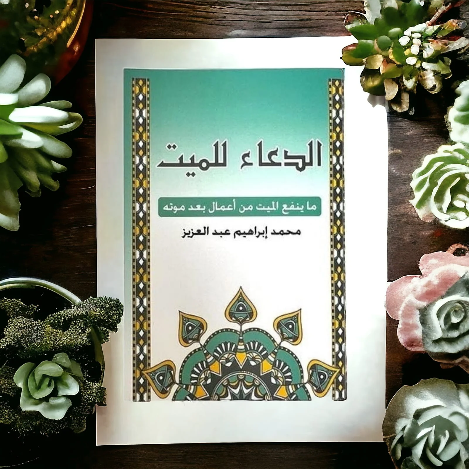 صورة مصغرة 2