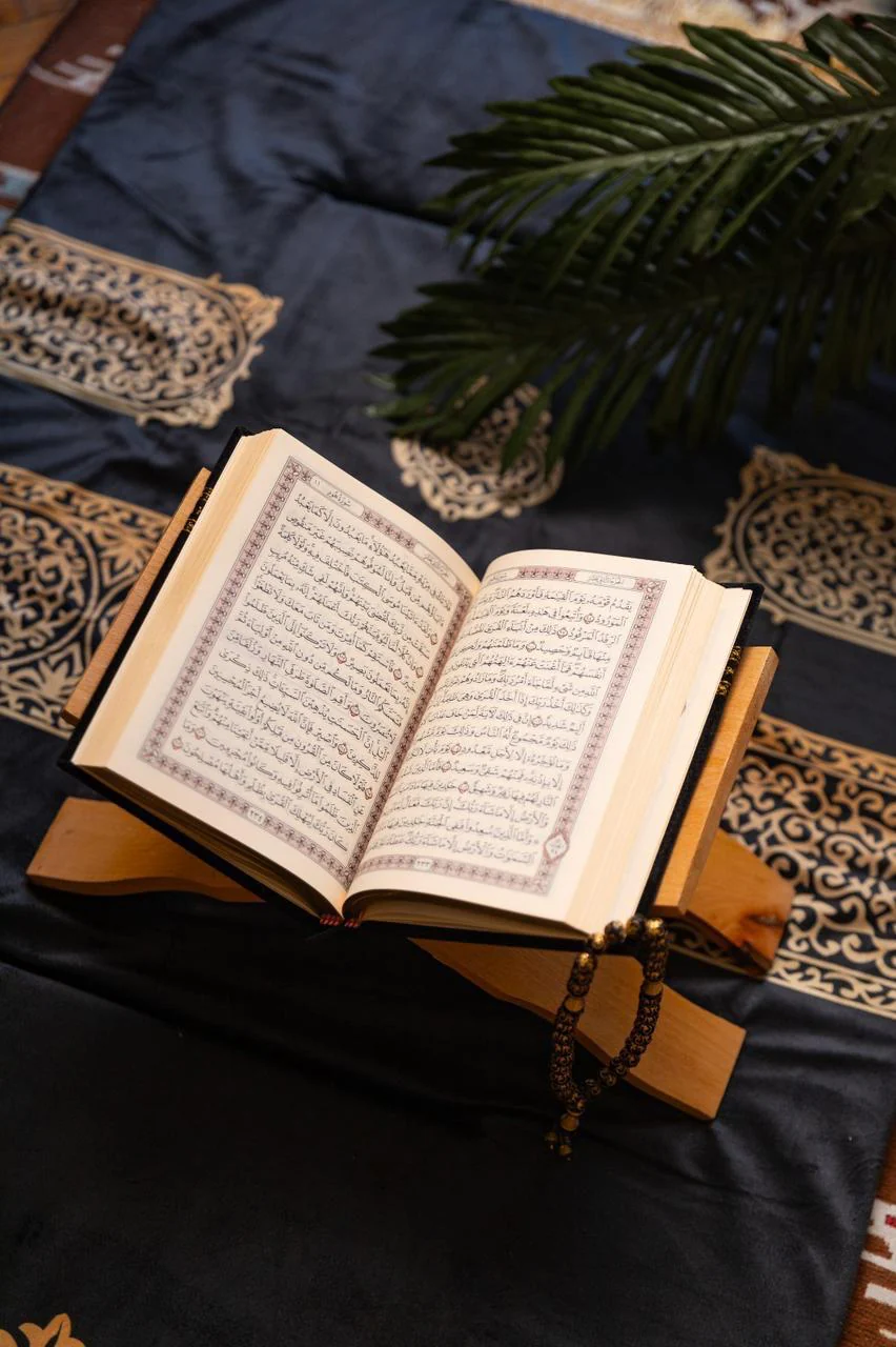 صورة مصغرة 11