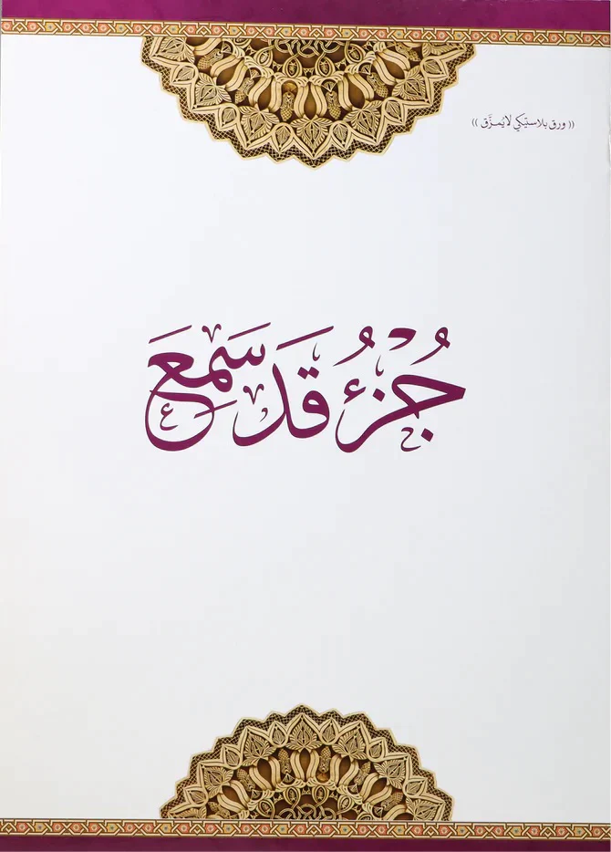 صورة مصغرة 2