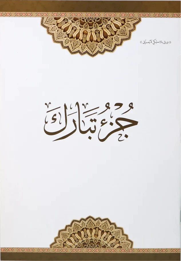 صورة مصغرة 3