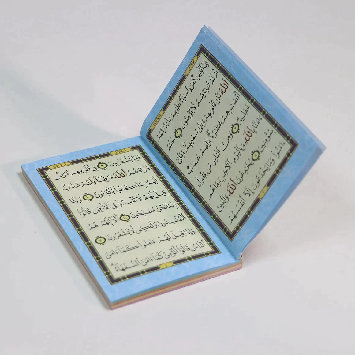 صورة مصغرة 3