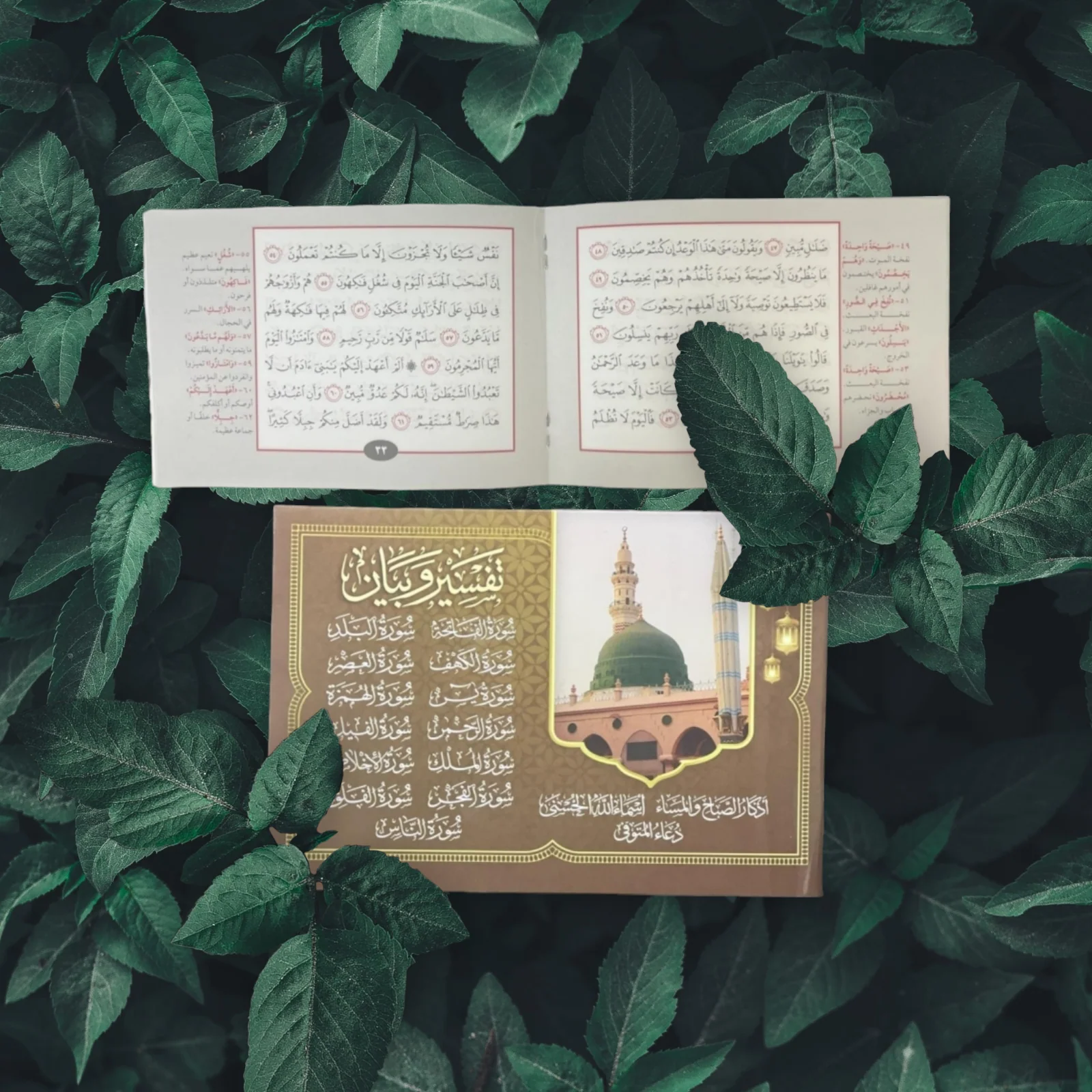 صورة مصغرة 3
