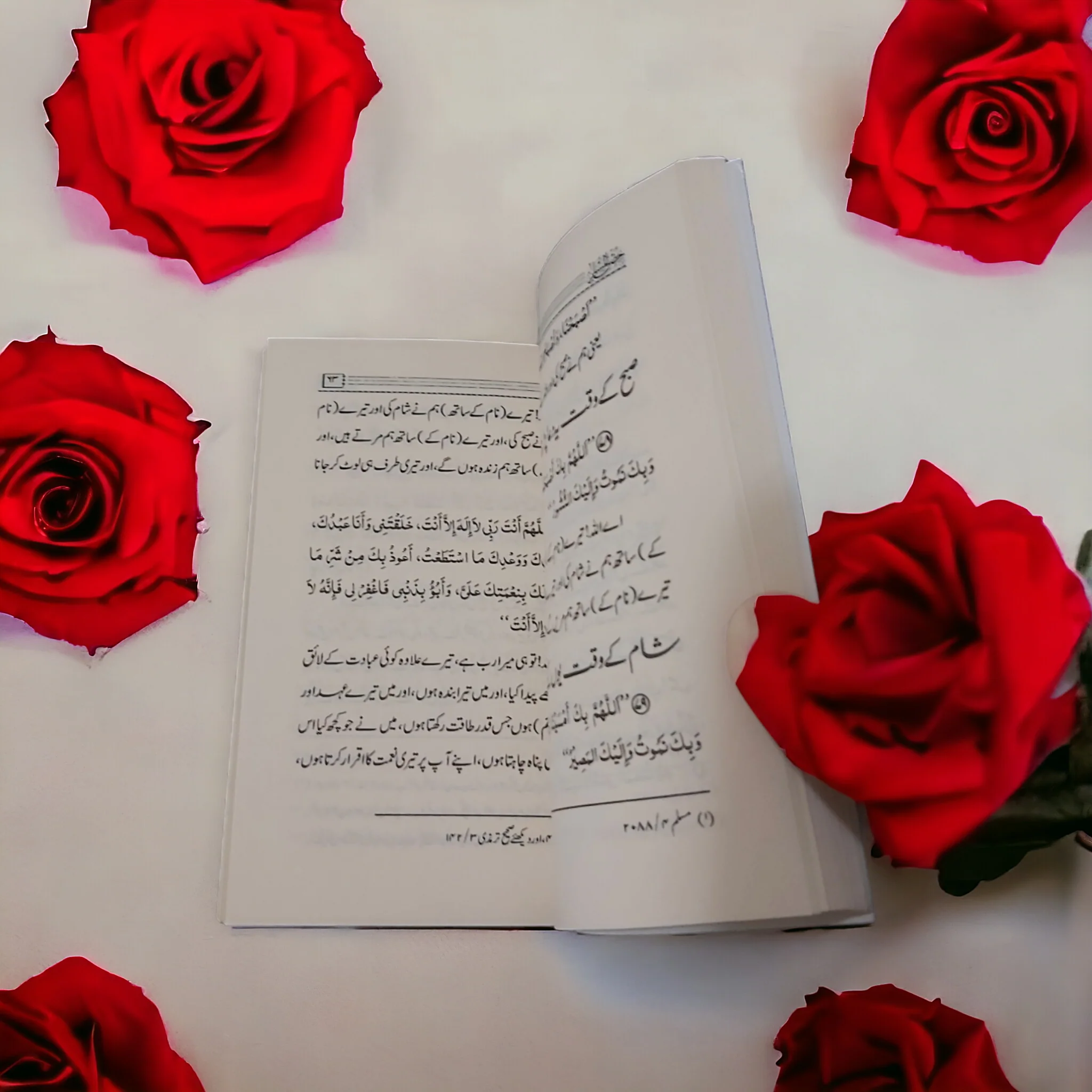 صورة مصغرة 3