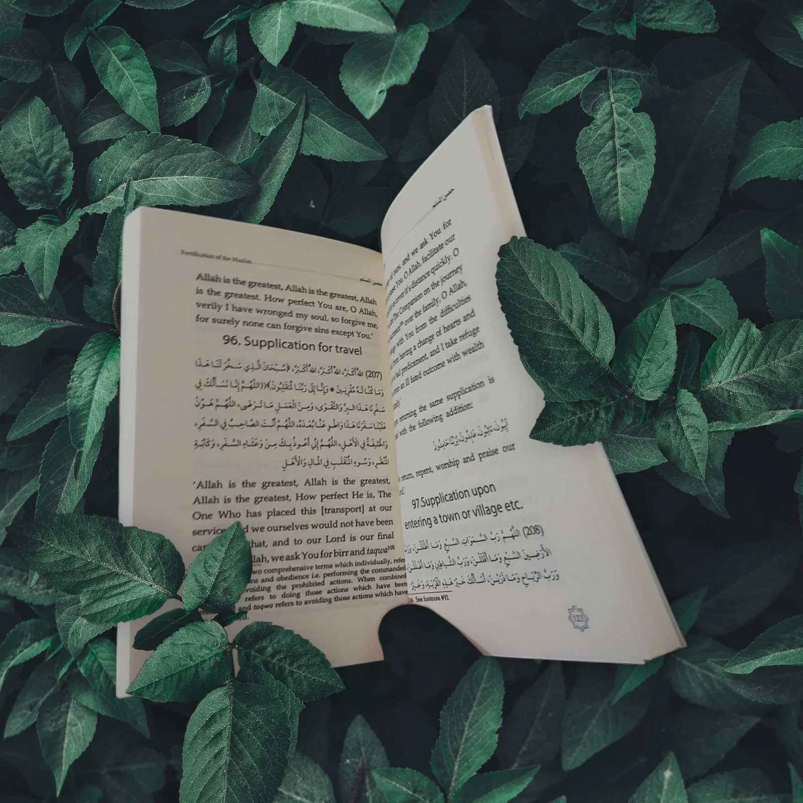 صورة مصغرة 4