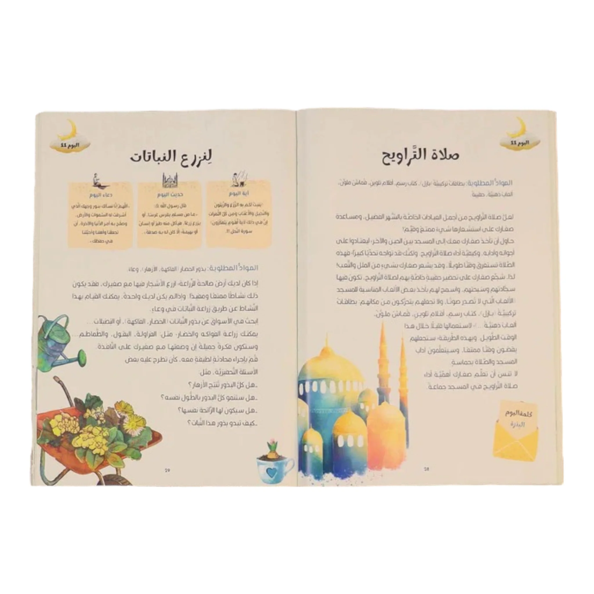 صورة مصغرة 12