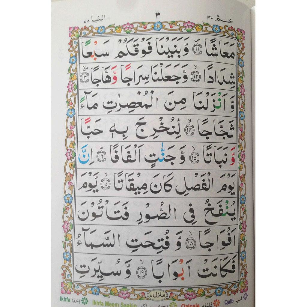 صورة مصغرة 2