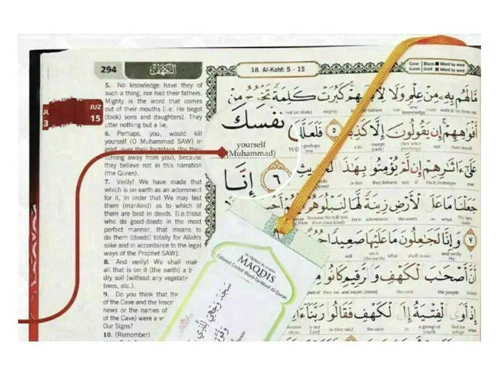 صورة مصغرة 7