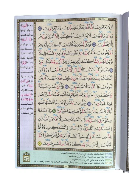 صورة مصغرة 2