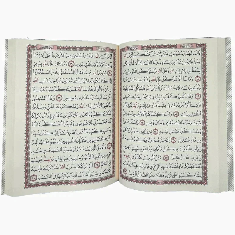 صورة مصغرة 3