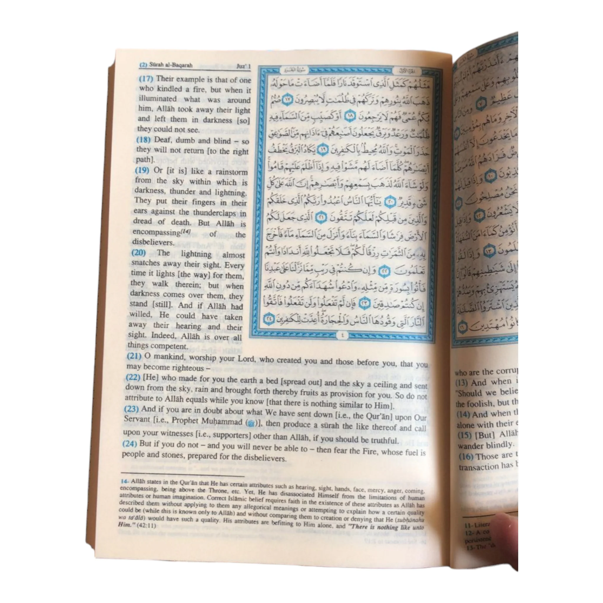 صورة مصغرة 6